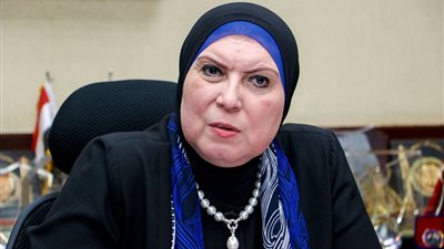 نيفين جامع: السيسي وجه برصد 350 مليون جنيه لدعم الحرف التراثية والتقليدية