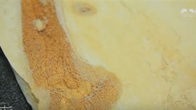 بين قطع الرخام في شق التعبان.. العثور على حفرية لـ