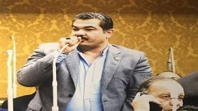 وكيل اتصالات النواب يتضامن مع 