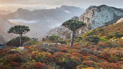 هل هناك أيادي قطرية وراء إنتقاد الإخوان لدور الإمارات في سقطرى؟