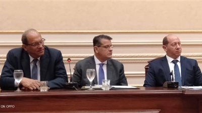 طارق رضوان: مصر حريصة على دعم دورها في القارة الأفريقية 