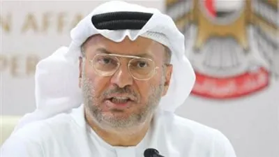 الخارجية الإماراتية: هدفنا الأول نجاح جهود السعودية لتوحيد الصف اليمني
