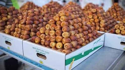 توقيع اتفاقية لتصدير التمور السعودية إلى كوريا الجنوبية