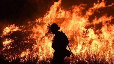 وزير أسترالي عن حرائق الغابات المدمرة: عمل حقير متعمد