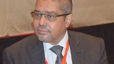 رئيس مجلس الأعمال المصري الياباني: 