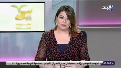علا شوشة: انتعاشه السوق العقاري تؤدي للنهوض بالقطاعات الصناعية