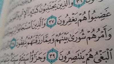 تفسير قوله تعالى:  {وأمرهم شورى بينهم}