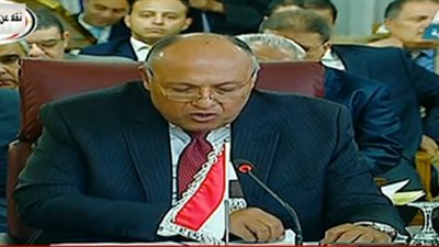 وزير الخارجية عن انتهاك تركيا لسيادة سوريا: تحاول إحياء عهد قد ولى دون رجعة