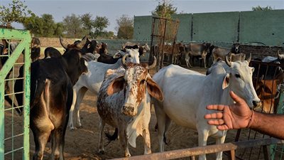 الحكومة الإسرائيلية تحذر بأنها ستوقف إدخال منتجات فلسطينية لأسواقها