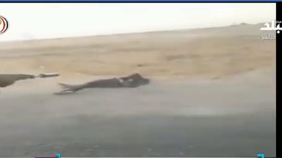 شاهد.. فيديو صادم لإعدام مدنيين سوريين على أيدي الميليشيات التركية