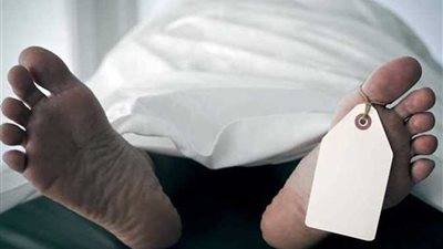 عاجل.. مصرع المتهمين بقتل رجلين وسيدة بمزرعة موز ببنها