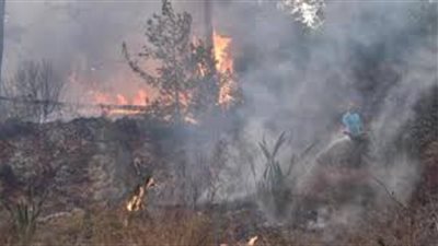 بعد اندلاع الحرائق في لبنان.. ماذا فعلت الحكومة لتخطي الأزمة؟