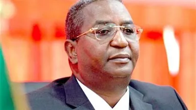 علاقات طيبة بين القاهرة والجزائر.. ومسعود: مصر في قلوب الجزائريين