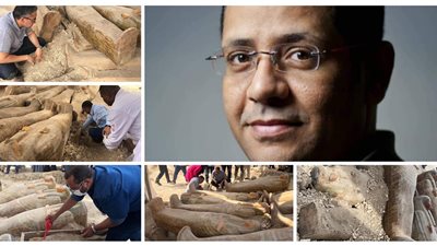 مدير آثار الكرنك: توابيت العساسيف كشف جديد.. وهذه هي الأدلة