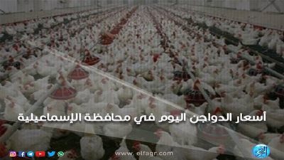 أسعار الدواجن اليوم السبت 2019ـ 10ـ 19 بمحافظة الإسماعيلية