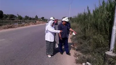 زراعة الإسماعيلية تنظم حملة مكبرة لمكافحة القوارض والفئران 