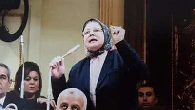 برلمانية تتقدم بتعديل تشريعي في قانون الضريبة على الدخل