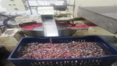 ضبط صاحب مصنع حلوى بدون ترخيص بالقاهرة