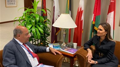     وزيرة الاستثمار تبحث مع السير سوما تشاكرابارتى زيادة استثمارات البنك فى مجالات النقل      