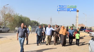 محافظ الفيوم يتفقد أعمال الرصف والنظافة بالشوارع (صور)