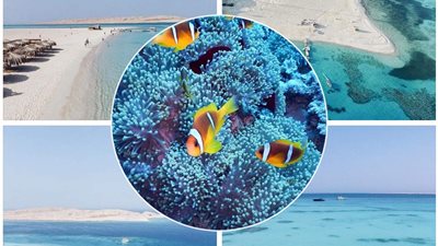  جزيرة توبيا البيضاء بسفاجا تجذب السياح من دول العالم للاستمتاع بالهدوء 