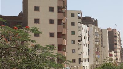 محافظ الجيزة: الانتهاء من طلاء 1600 عقار بالطريق الدائري بالمرحلة الأولى