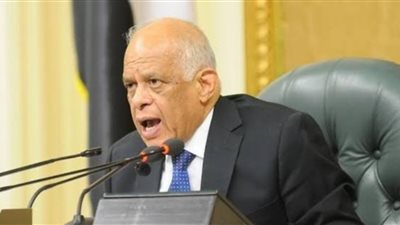 نائب يطالب بإنشاء جامعة تحمل اسم 