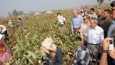 جيهان المنوفي توضح مهام قطاع الإرشاد الزراعي (فيديو)
