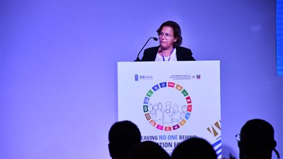 راندا أبوالحسن: الحكومة المصرية بذلت جهود متميزة في تسريع تطبيق أهداف التنمية المستدامة 