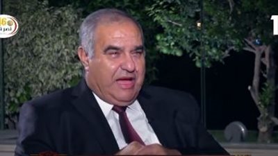 رئيس الدستورية: الدستور المصري أعلى من حرية التعبير ومن قيمة الإبداع الفني