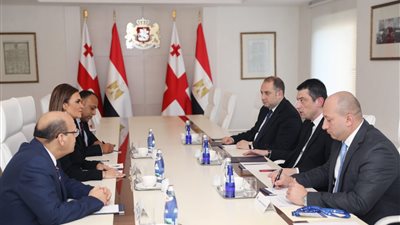  ​ بعد توقفها 9 أعوام.. مصر وجورجيا تتفقان على تفعيل عمل اللجنة المشتركة للتعاون الاقتصادى 