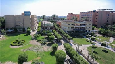 معهد المدينة العالى للإدارة والتكنولوجيا يعلن عن حاجته لأعضاء هيئة تدريس