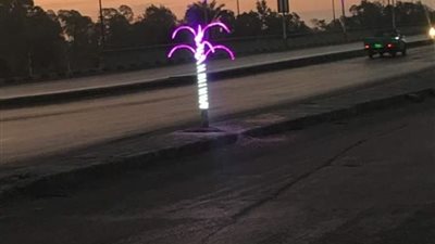 تجنبًا للحوادث.. شجر ليد بمطلع كباري قها (صور)