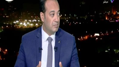 خبير: مصر تسعى بقوة لحل الأزمة الليبية والسودانية