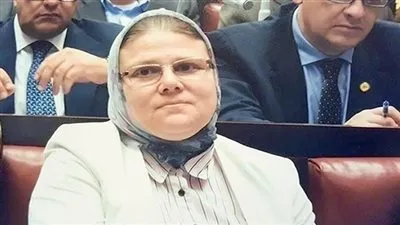 طلب إحاطة حول عدم قيام إدارة القاهرة الجديدة التعليمية بإجراء الصيانة الدورية للمدارس