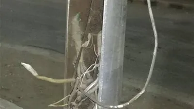 قبل سقوط أمطار.. حملات للكشف على الأعمدة الكهربائية بشوارع الإسكندرية 