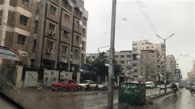 بسبب الطقس سقوط شجرة على طريق في الدقهلية 