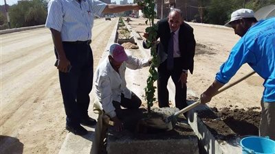 رفع 1000 طن قمامة وزرع أشجار في حملات للوحدات المحلية بسوهاج