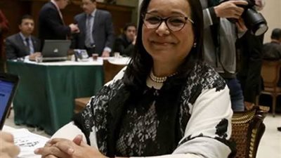 برلمانية: زيارة وزيرة الهجرة للنوبة للم شمل المصريين بالداخل والخارج