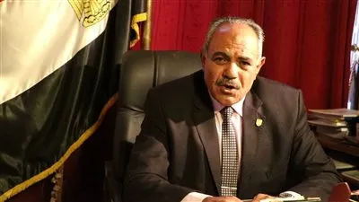 مركز بحوث الصحراء: 18 تجمعا في سيناء جاهزة للزراعة