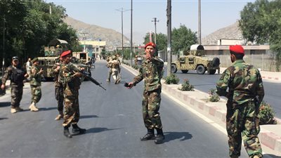 مجموعات مسلحة أفغانية مدعومة من 