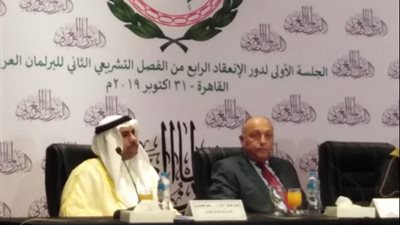 وزير الخارجية: مصر ستحمي حصتها من مياه النيل بـ