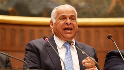 فرج عامر يشيد بتصريحات الرئيس بشأن مشاركة القطاع الخاص في مشروعات القوات المسلحة