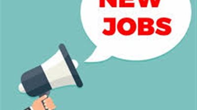 براتب 10 آلاف جنيه.. فرص عمل من وزارة حكومية للشباب (قدم الآن)