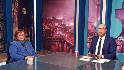 بسنت فهمي تطالب بتشخيص أزمات شركات القطاع العام قبل تغيير الإدارات