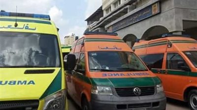 مصرع 3 مواطنين في حوادث متفرقة بسوهاج