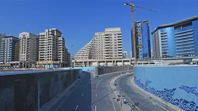 ماذا تعرف عن مشروع 