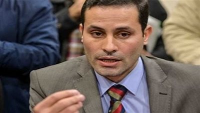 تحالف الأحزاب المصرية: أحمد طنطاوي يتحدث بلسان 