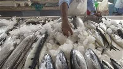 اسعار الاسماك اليوم الثلاثاء 5-11-2019 في سوق العبور.. البلطى والمكرونة يستقران