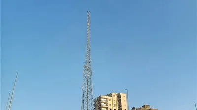 للمرة الثالثة.. شاب يقدم علي الانتحار من أعلي برج شبكة محمول بالبحيرة (صور)